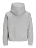 Aprel Kapuzenpullover in Light Grey Melange
