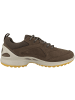 Ecco Sneaker low BIOM Energi in dunkelbraun