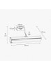 Licht-Erlebnisse Wandlampe (B)30 x (H)12 cm in Messing poliert