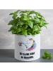 Mr. & Mrs. Panda XL Blumentopf Einhorn Wolke 7 mit Spruch in Weiß
