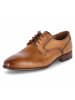 LLOYD Businessschuhe KEEP in Braun