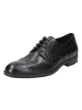 LLOYD Schnürschuhe Farley in BLACK