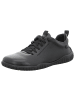Josef Seibel Schnürschuhe in schwarz