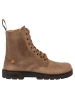 El Naturalista Stiefeletten grau