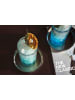 LEONARDO 4er Set Longdrinkgläser Soiritii Nova in Transparent 400 ml in transparent