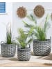 Beliani 3er-Set Outdoor Blumentopf GEFIRA in Grau/Weiß