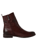 Marco Tozzi Stiefelette in CHOCOLATE