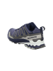 SALOMON Sport Schuhe XA PRO 3D V9 GTX in Blau