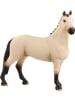 Schleich Hannoveraner Wallach, Falbe in Mehrfarbig ab 5 Jahre