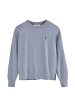 Polo Club Pullover in Babyblau