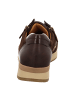 Gabor Sneaker Low in Braun