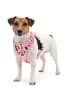 Reichstadt Reichstadt  Hundegeschirr  25RSP083 Puppy Parade Pink L