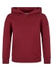 Urban Classics Urban Classics Kapuzenpullover in burgundy