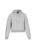 faina Women Hoodie in grey