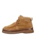 GANT Footwear Stiefelette in Sand