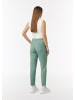 comma Hose in 6520_minze