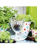 Villeroy & Boch 4er Set Rotweingläser Boston 200 ml transparent in transparent