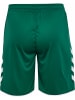 Hummel Sportshorts "Core 2.0 Shorts" in Grün