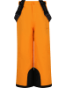 Zigzag Skihose Provo in 5102 Desert Sun