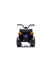 Wisam® Quad-Batterie GTS1155