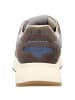 Sun68 Sneaker Low in braun