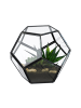relaxdays Pflanzenterrarium "geometrisch" in Schwarz - (B)14 x (H)12 x (T)14 cm