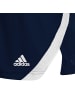 adidas Performance Shorts Icon Squad in dunkelblau / weiß