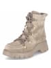 Paul Green Schnürboots in beige