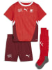 Puma Sportshirt "SFV HOME MiniKit" in Rot