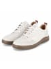 Josef Seibel Low Sneaker  CLEVE in weiß