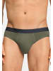 Hanro Slip / Unterhose Cotton Essentials in Charcoal art / smokey olive