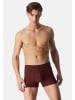 Schiesser Retro Short / Pant 95/5 Essentials in Schwarz / rot