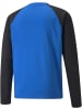 Puma Pullover "TeamLIGA Training Sweat" in Blau