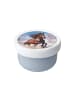 Mepal Fruchtbox mit Gabel Campus 300 ml in Wild Horse