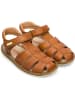 Camper Sandalen " Bicho " in Braun