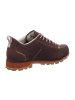 DOLOMITE Outdoorschuh Low GTX EVO in Brown