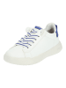 Geox Sneaker in Weiß/Blau