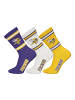 NFL Socken 6er Pack in Minnesota Vikings 2/Weiß