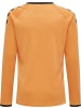 Hummel Kinder Trainingsanzug "Set Core Kids Gk" in Orange