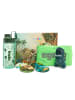 Ergobag Zubehör Geschenkbox 5 tlg in Dinosaurier