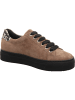 Semler Sneaker Low in beige