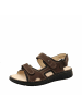 Finn Comfort Sandalen in braun
