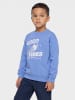 Hummel Sweatshirt Hmljr Graphic Kinder in PERSIAN JEWEL