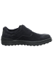 Josef Seibel Schnürschuhe in blau