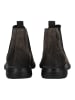 Geox Stiefelette in Mud