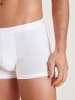 Calida New Boxer in weiss