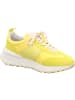 Apple of Eden Sneaker Low in gelb