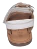 Kickers Sandalen CLOKNOT  in bunt