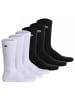 Lacoste Socken 6er Pack in Schwarz/Weiß