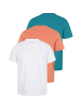 Kappa T-Shirt KMLogo in white-clay ginger-green